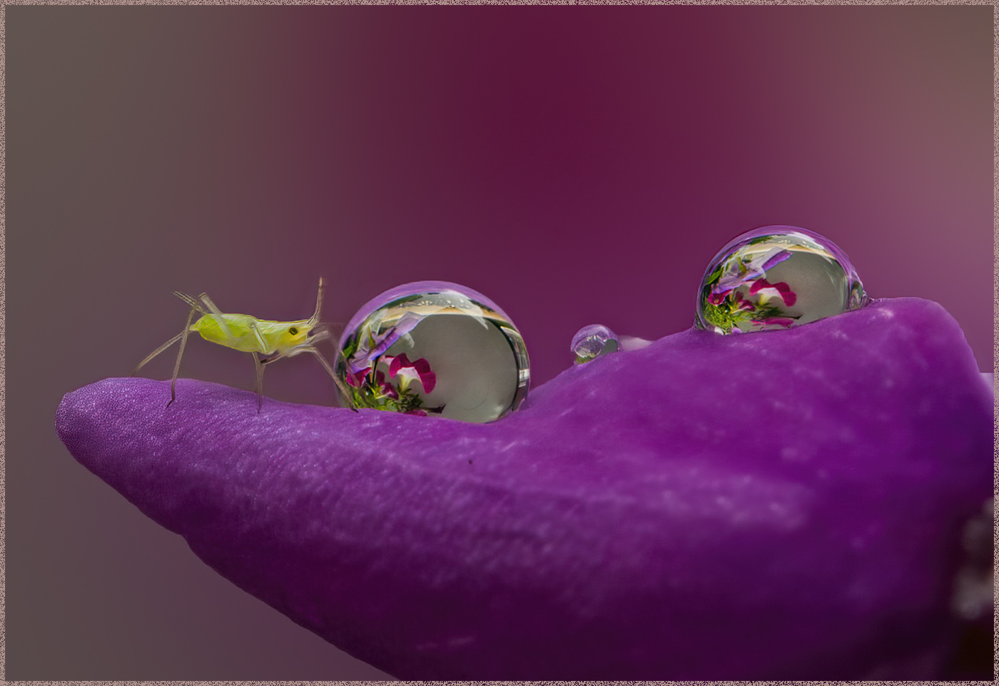 Assigned In Class G By Melanie Bradley For Refraction Attraction NOV-2020.jpg